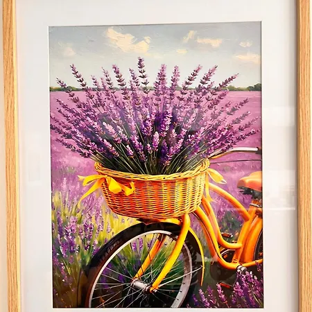 Lavender Dreams * Sofie