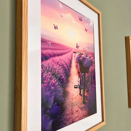 Lavender Dreams Sofie