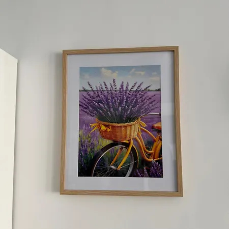 Lavender Dreams *